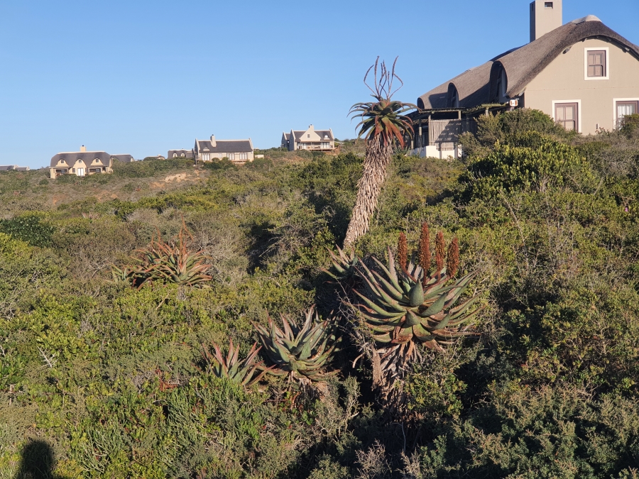 0 Bedroom Property for Sale in Boggomsbaai Western Cape